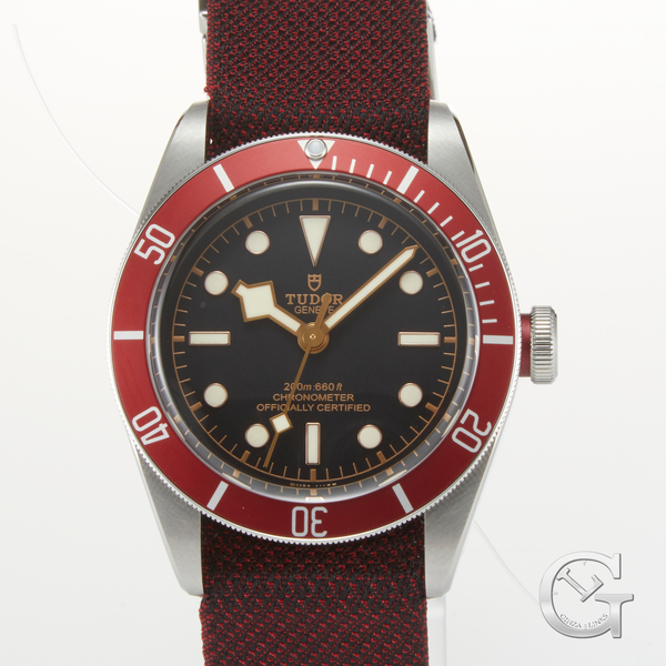 TUDOR　BLACK BAY　79230R