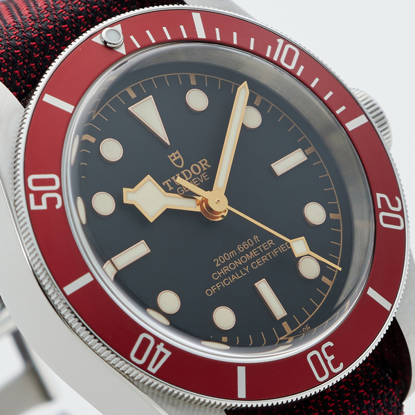 TUDOR　BLACK BAY　79230R