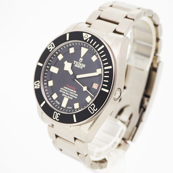 TUDOR　ぺラゴスLHD　25610TNL