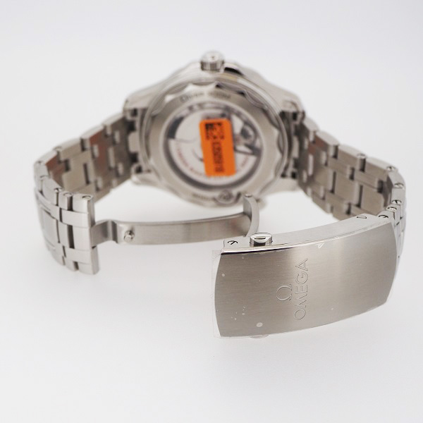 OMEGA シーマスターダイバー300　210.30.42.20.01.001