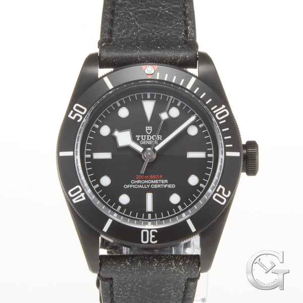 TUDOR　BLACK BAY　ダーク　79230DK