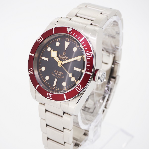 TUDOR　BLACK BAY　レッドベゼル　”小薔薇”　79220R