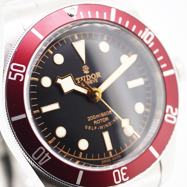 TUDOR　BLACK BAY　レッドベゼル　”小薔薇”　79220R