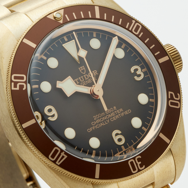 TUDOR　BLACK BAY　ブロンズ   79012M